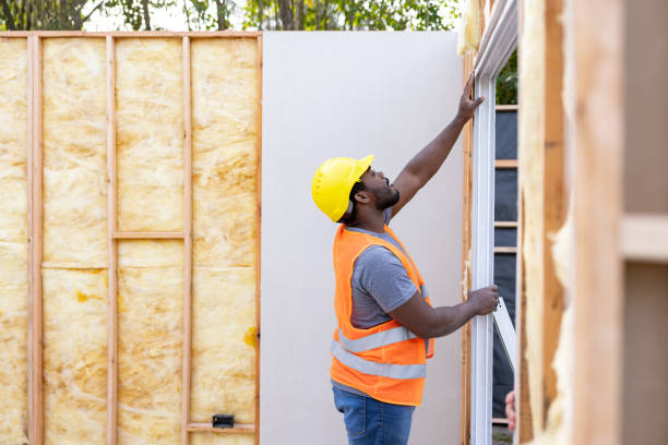 Best Professional Insulation Contractor  in Lincoln, MO