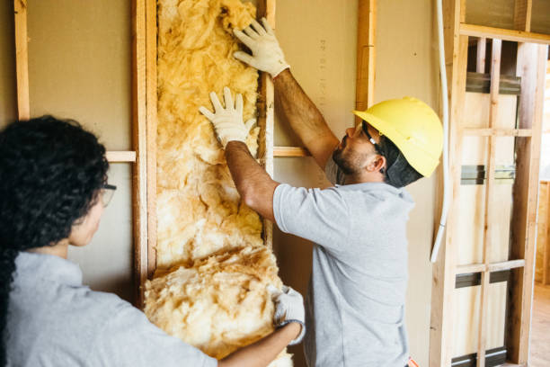 Best Commercial Insulation Contractor  in Lincoln, MO