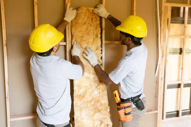 Best Garage Insulation Installation  in Lincoln, MO