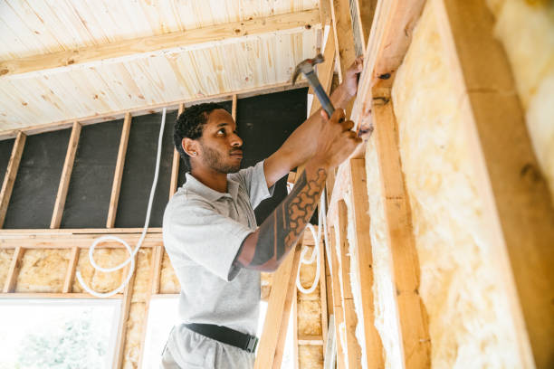 Best Insulation Removal  in Lincoln, MO
