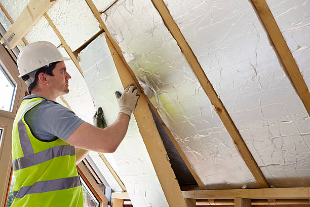 Best Home Insulation Services  in Lincoln, MO